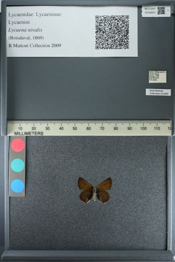 Media type: image;   Entomology 183601